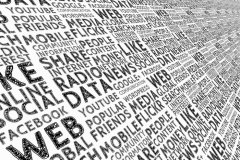 文化传播公司加强执行力，项目落地更高效